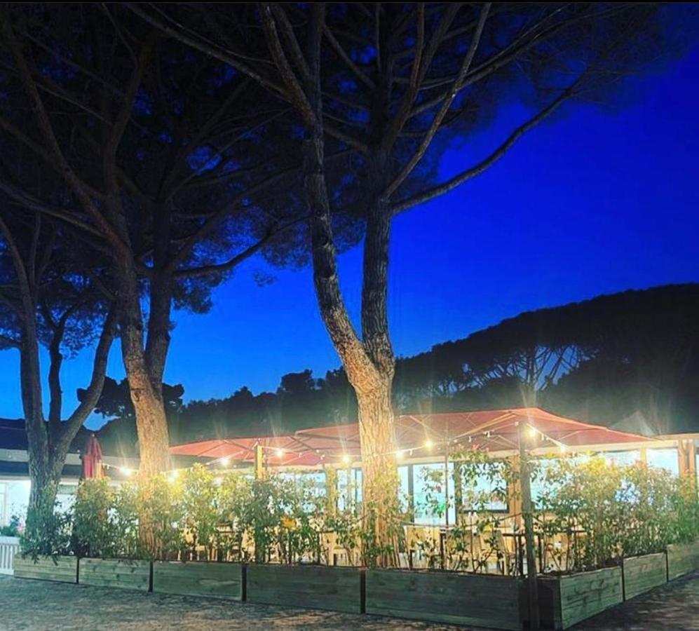 Appartamenti Campeggio Del Forte Marina Di Bibbona Esterno foto