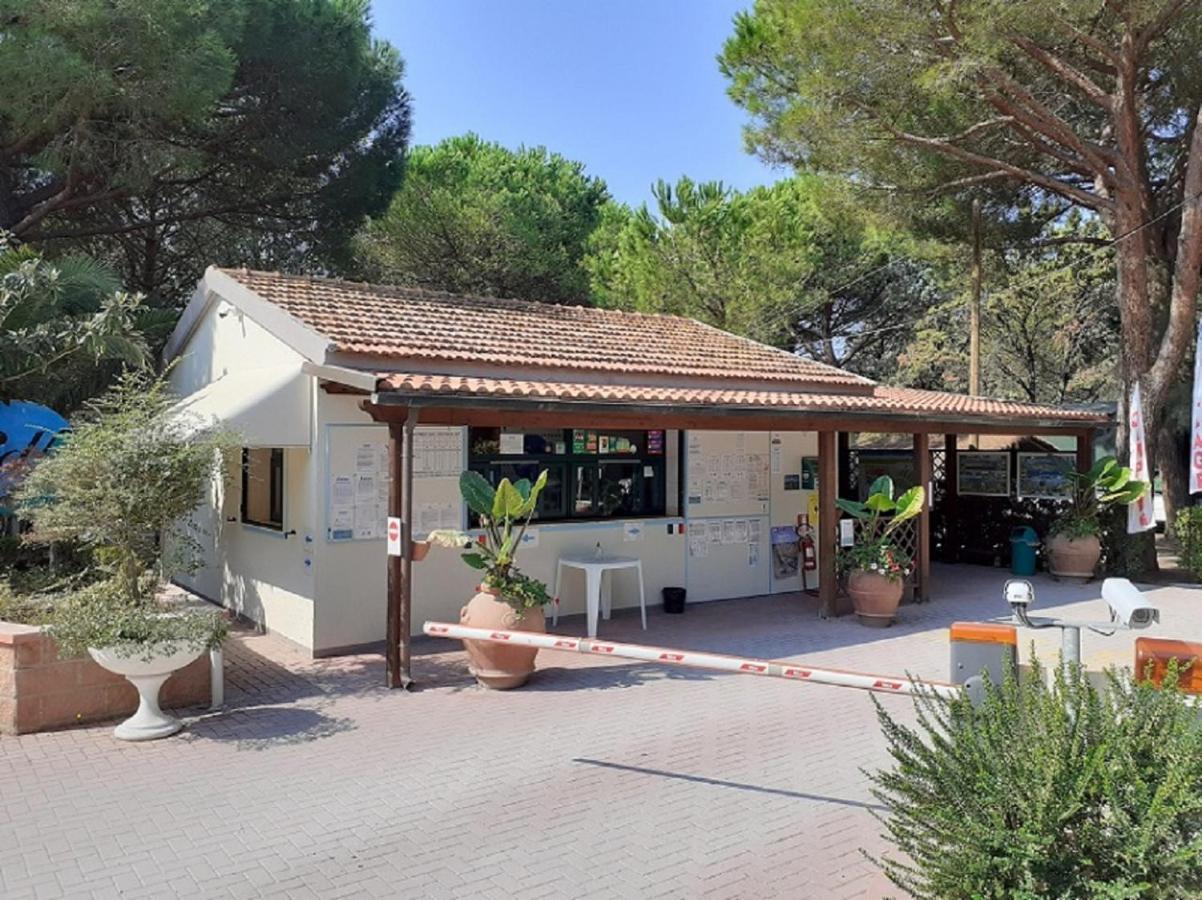 Appartamenti Campeggio Del Forte Marina Di Bibbona Esterno foto